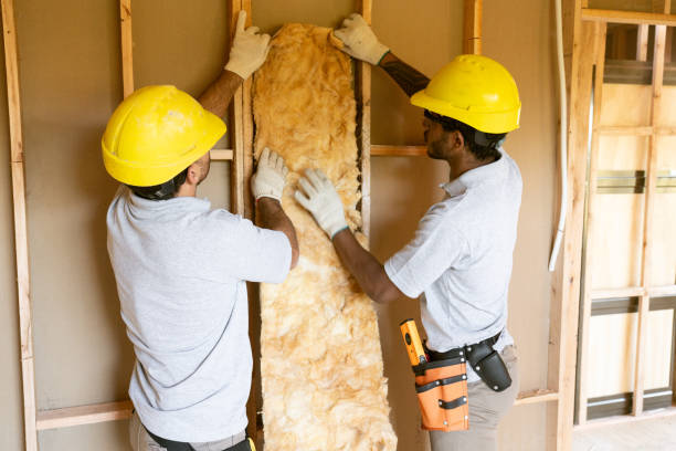 Best Energy-efficient Insulation  in Lauderdale, MN